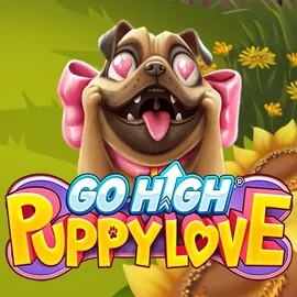 Play Go High Puppy Love slot by RubyPlay on crownplays.org